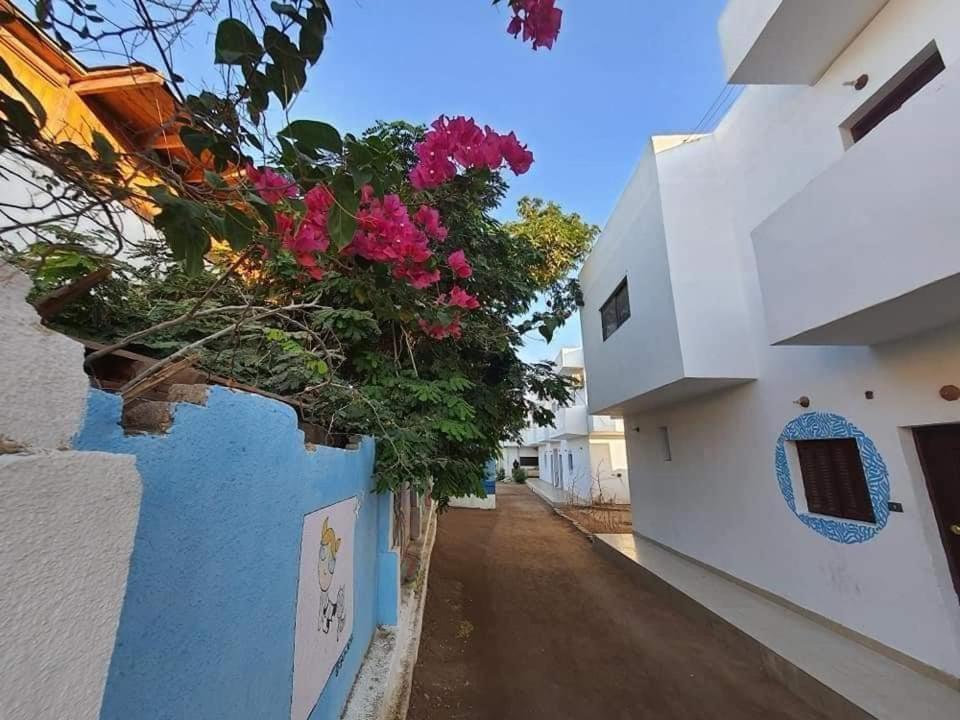 Вілла A5Ena House Дахаб Екстер'єр фото
